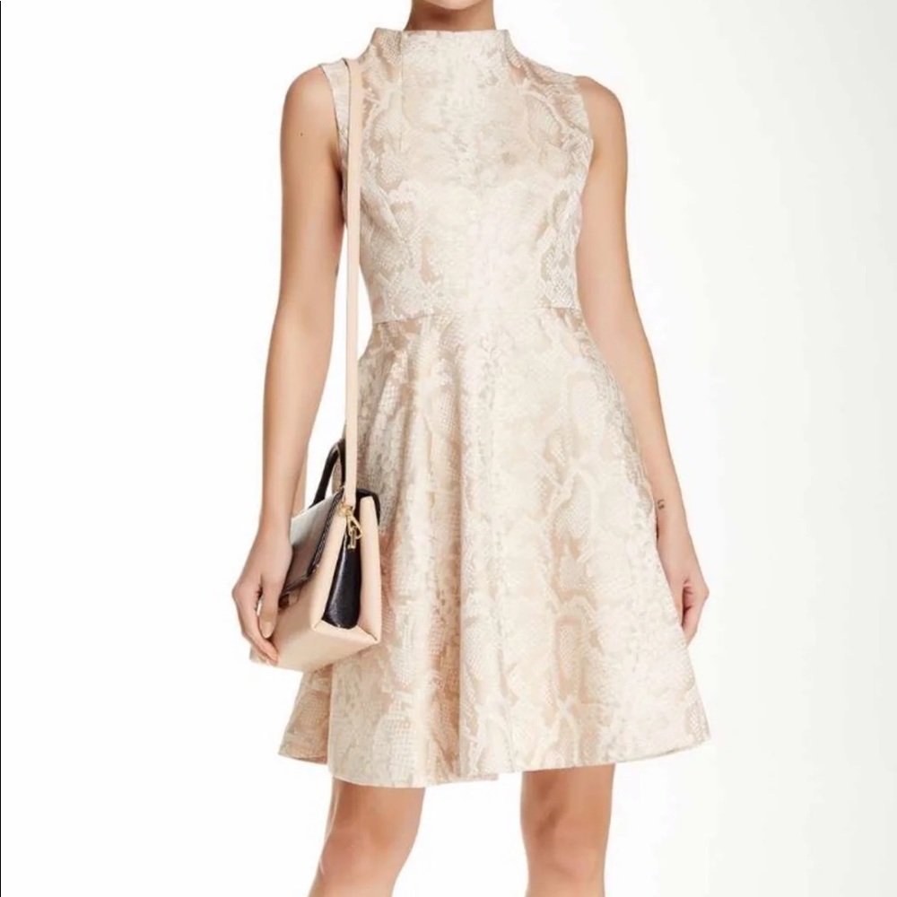 Ted Baker London Dress